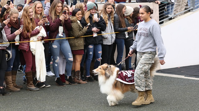 Reveille