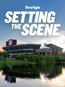 Setting the Scene