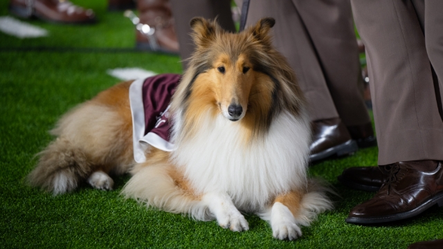 Reveille