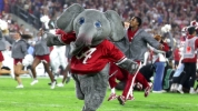 Nuño's Notes: All about the Tide with Alabama associates
