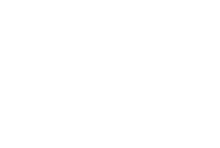 The Fan Show