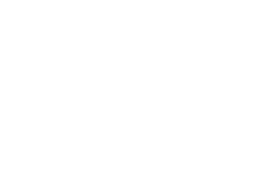 The Fan Show