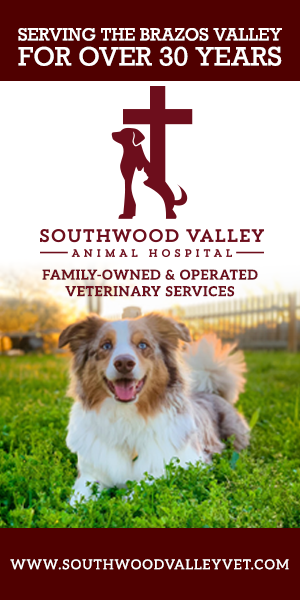 Southwood Valley Animal Hospital